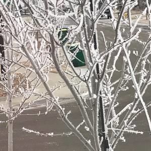 Meet your Posher, Cathy